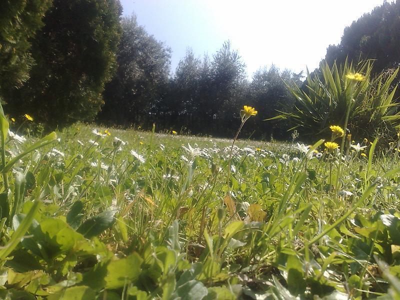 Hotel Villa Maria Luigia Frascati Bagian luar foto