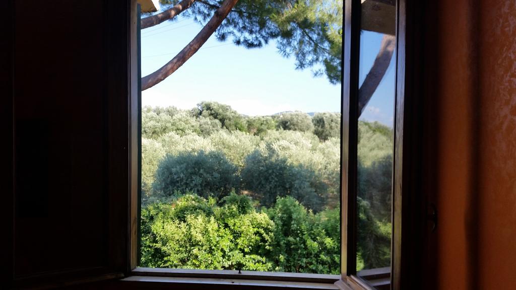 Hotel Villa Maria Luigia Frascati Ruang foto